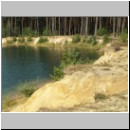 Wegwespen 02 Habitat.jpg